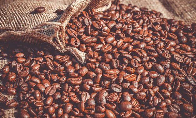 Wat zijn de verschillen tussen Arabica en Robusta koffiebonen?